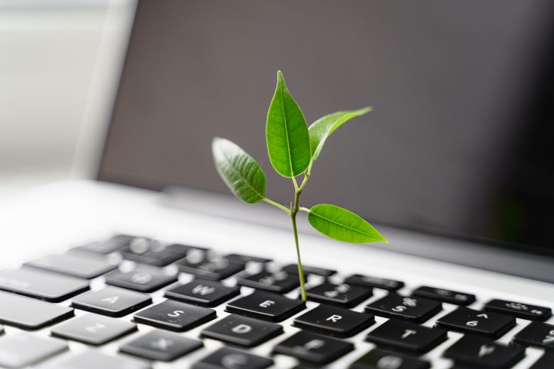 a tree sapling growing out of a computer keyboard